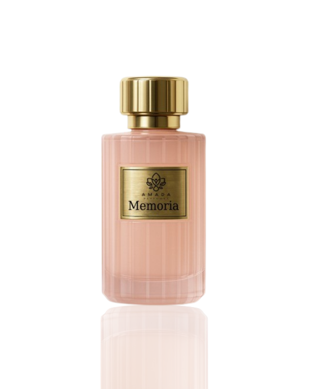 MEMORIA - 100 ML