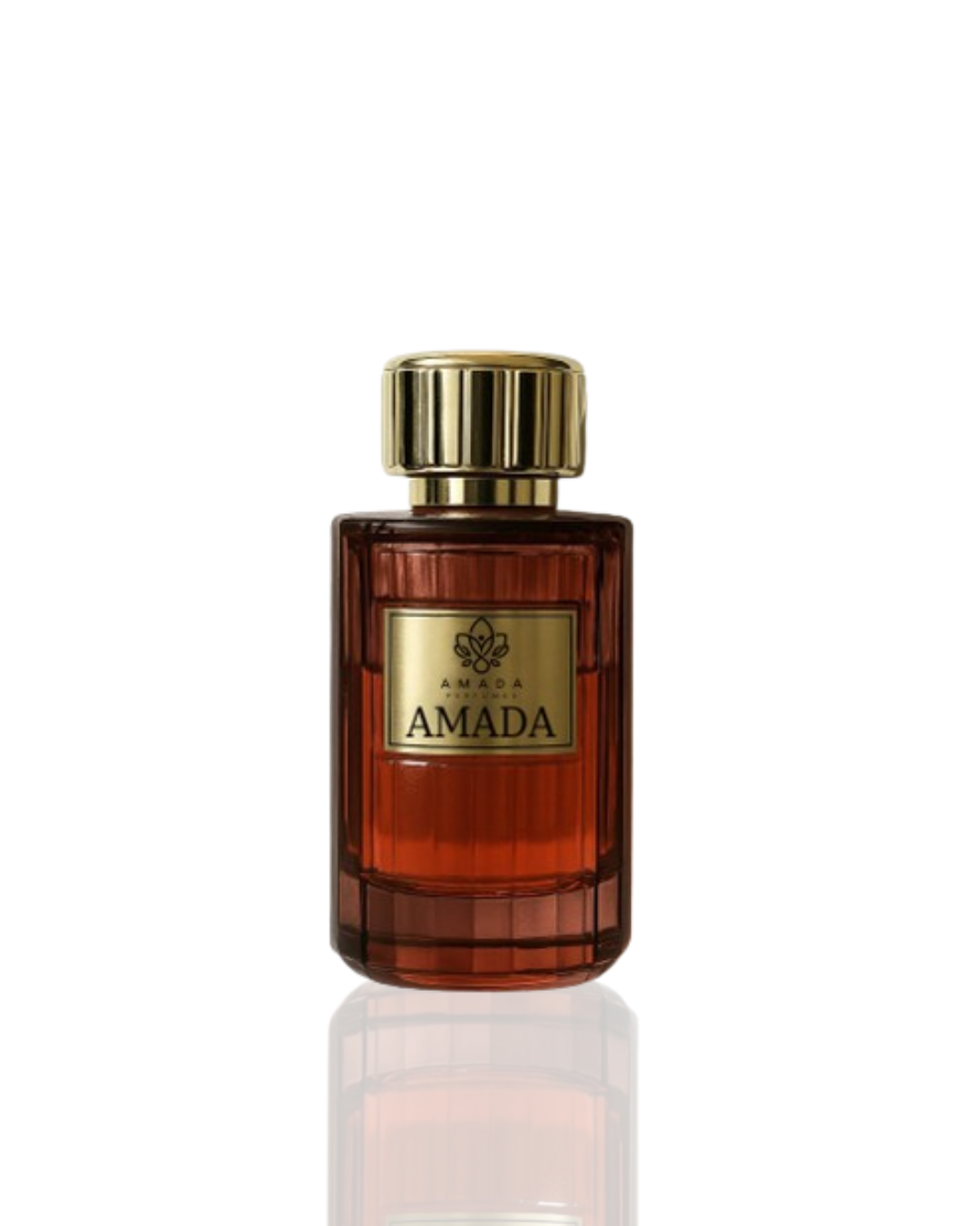 AMADA - 100 ML