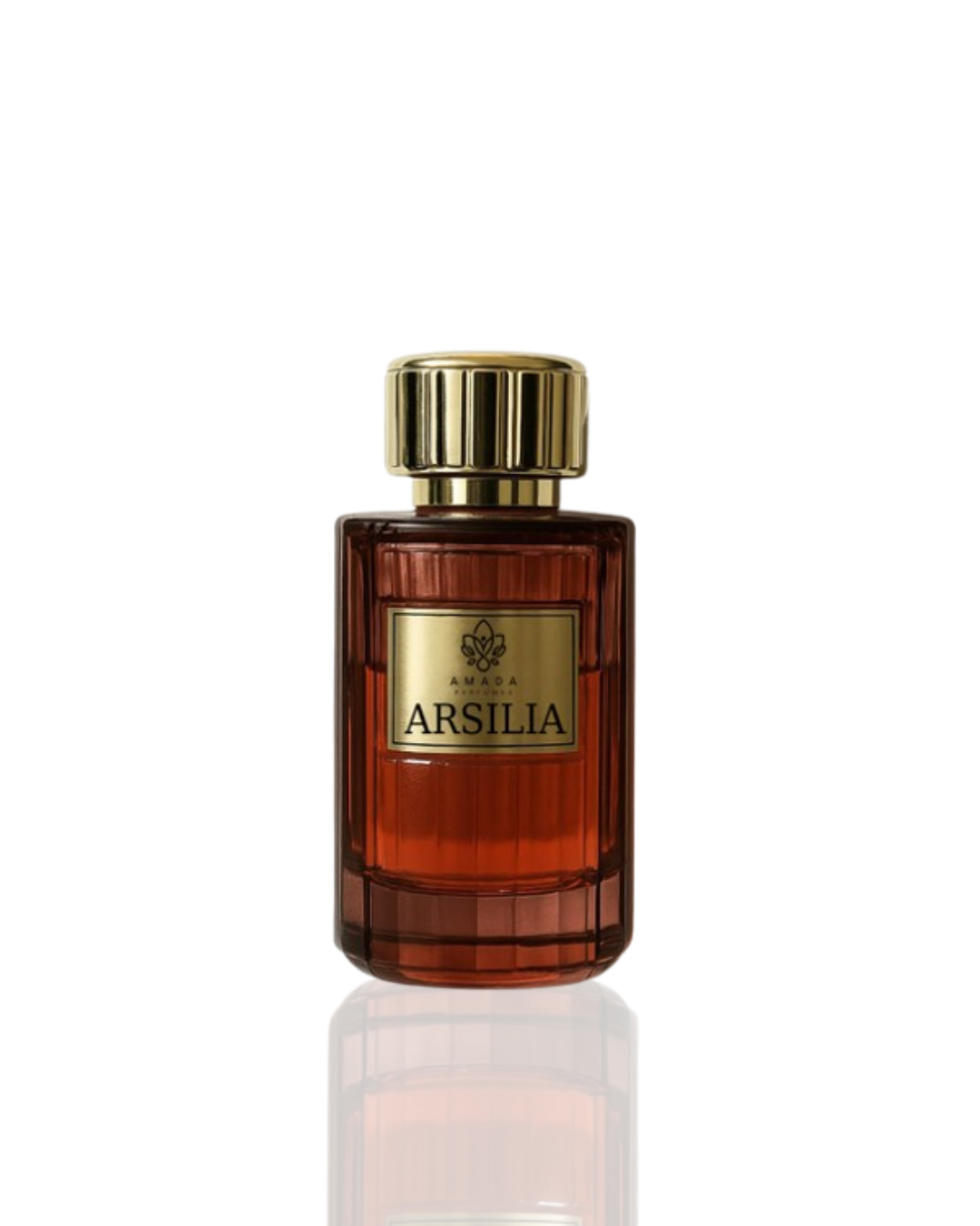 ARSILIA- 100 ML